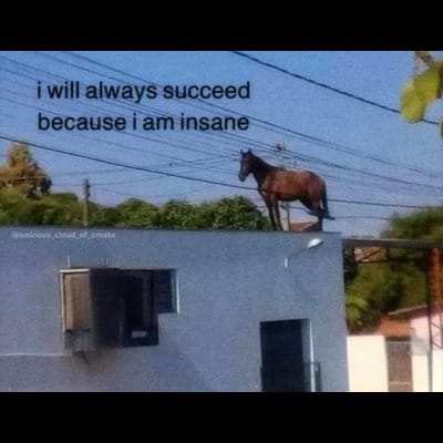 The little things are the only things