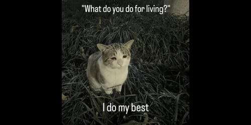 Why We're Wrong About AI Stealing Our Jobs