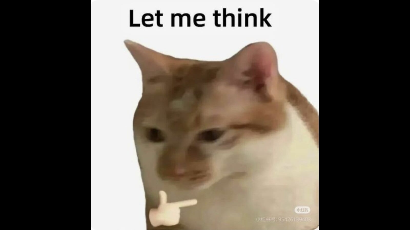 Learning about machine learning